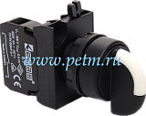 CP100S20 Селекторный переключатель 0-1 IP65 CPDS20 (с фиксацией) с адаптером CA и блок-контактом C1